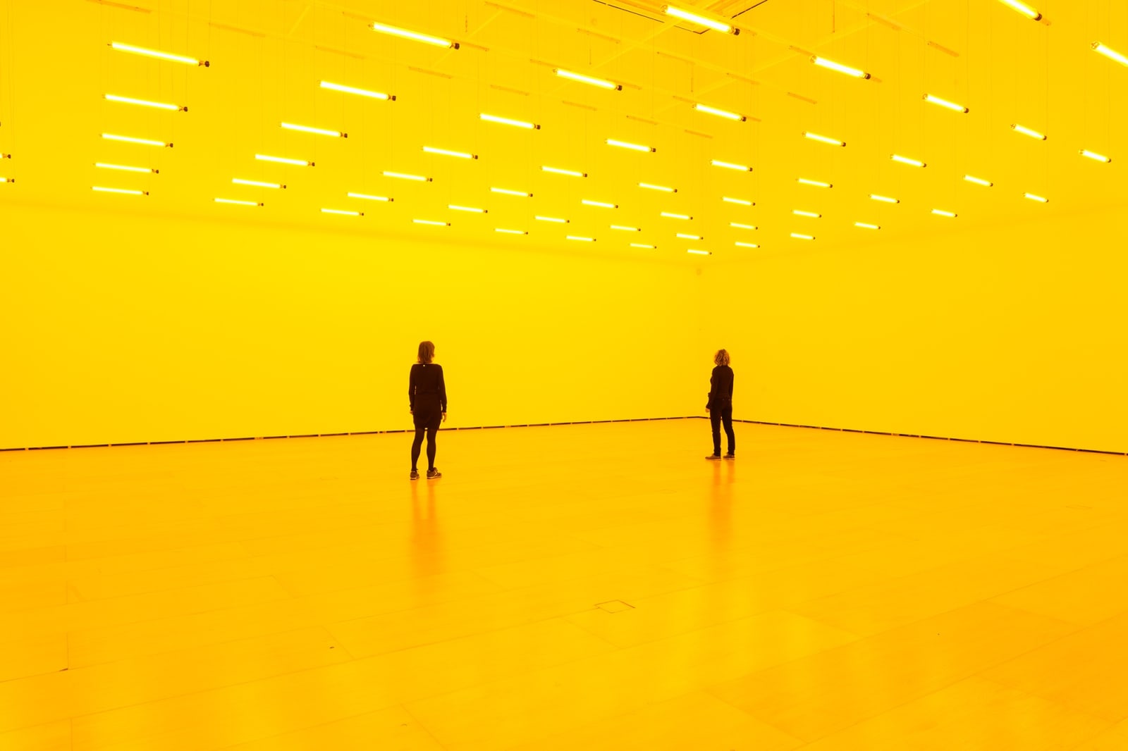 Room for one colour
