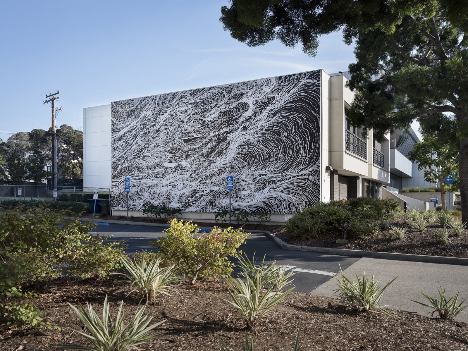image of large wave mural