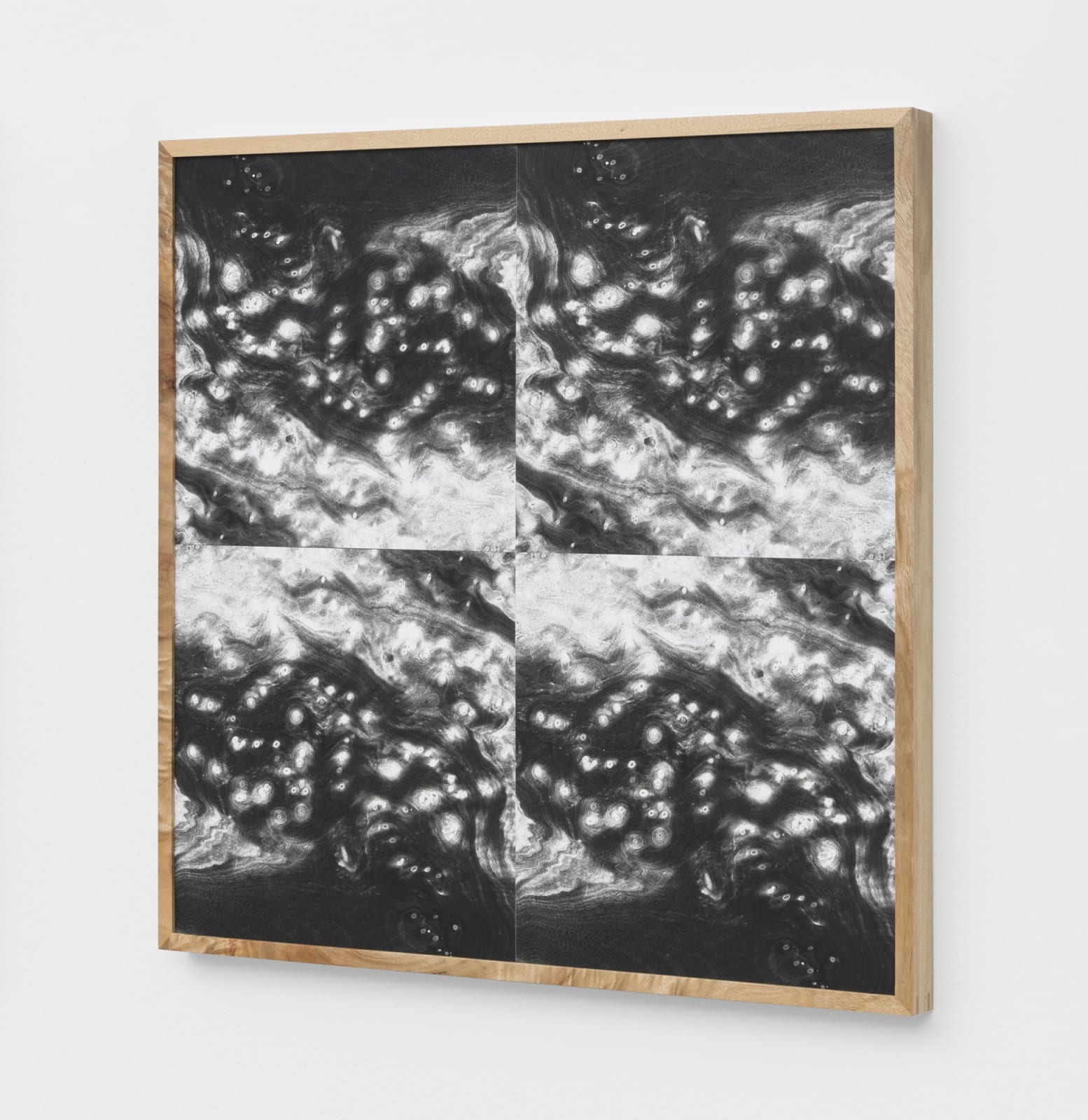 Lisa Oppenheim, Landscape Portraits (Camphor) (Version V), 2020