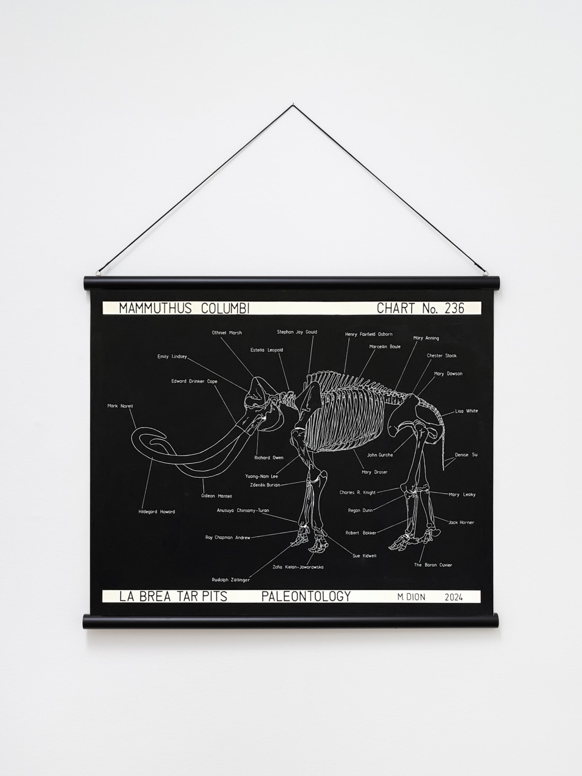 Image of Mammuthus columbi.