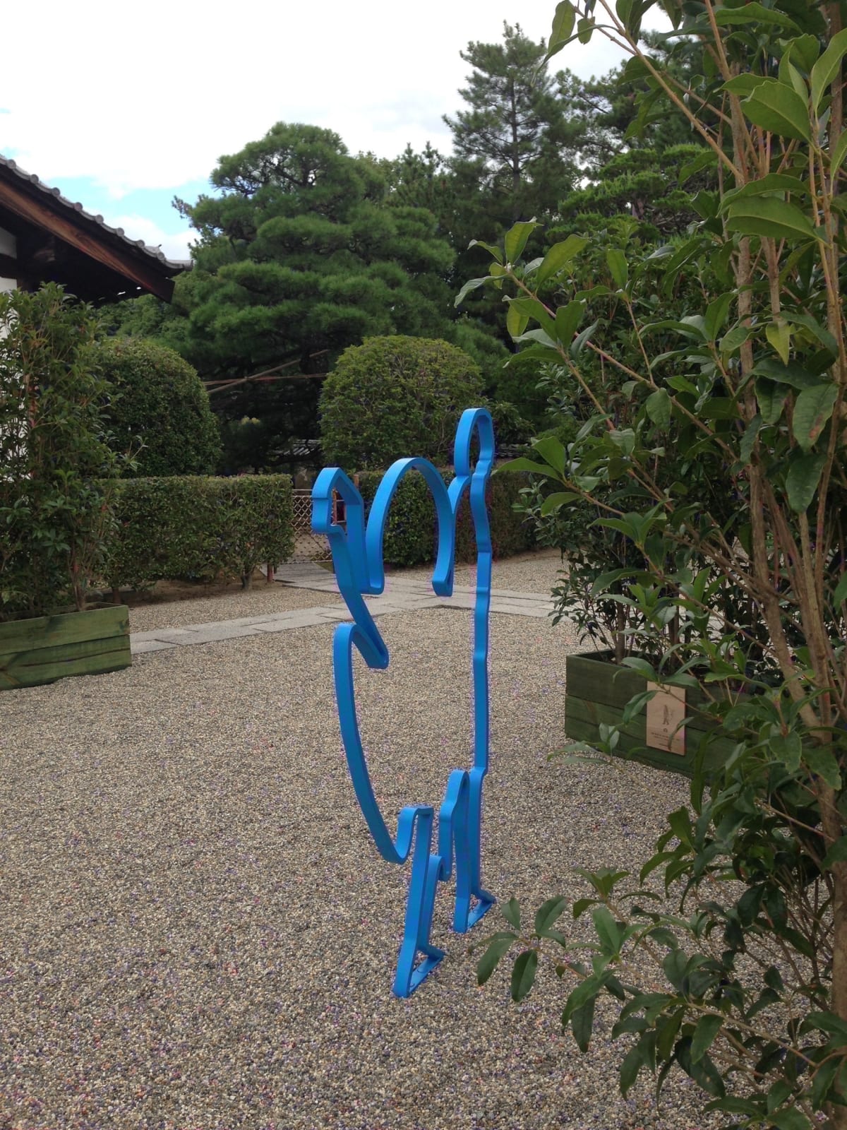 Image of Shadows Without Light.