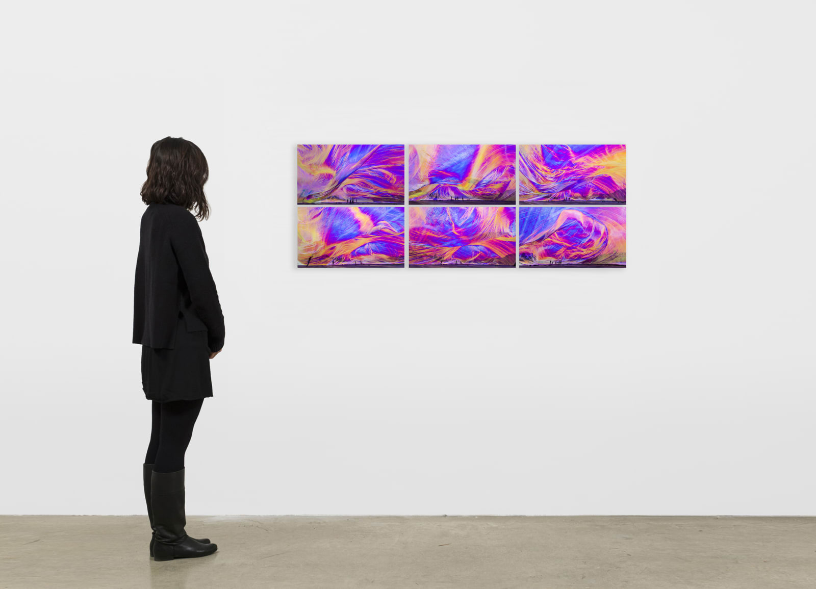 Tomas Saraceno colorful 6 panel work