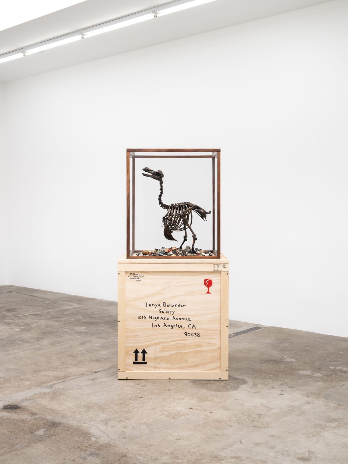 The Anatomy of Melancholy - Dodo