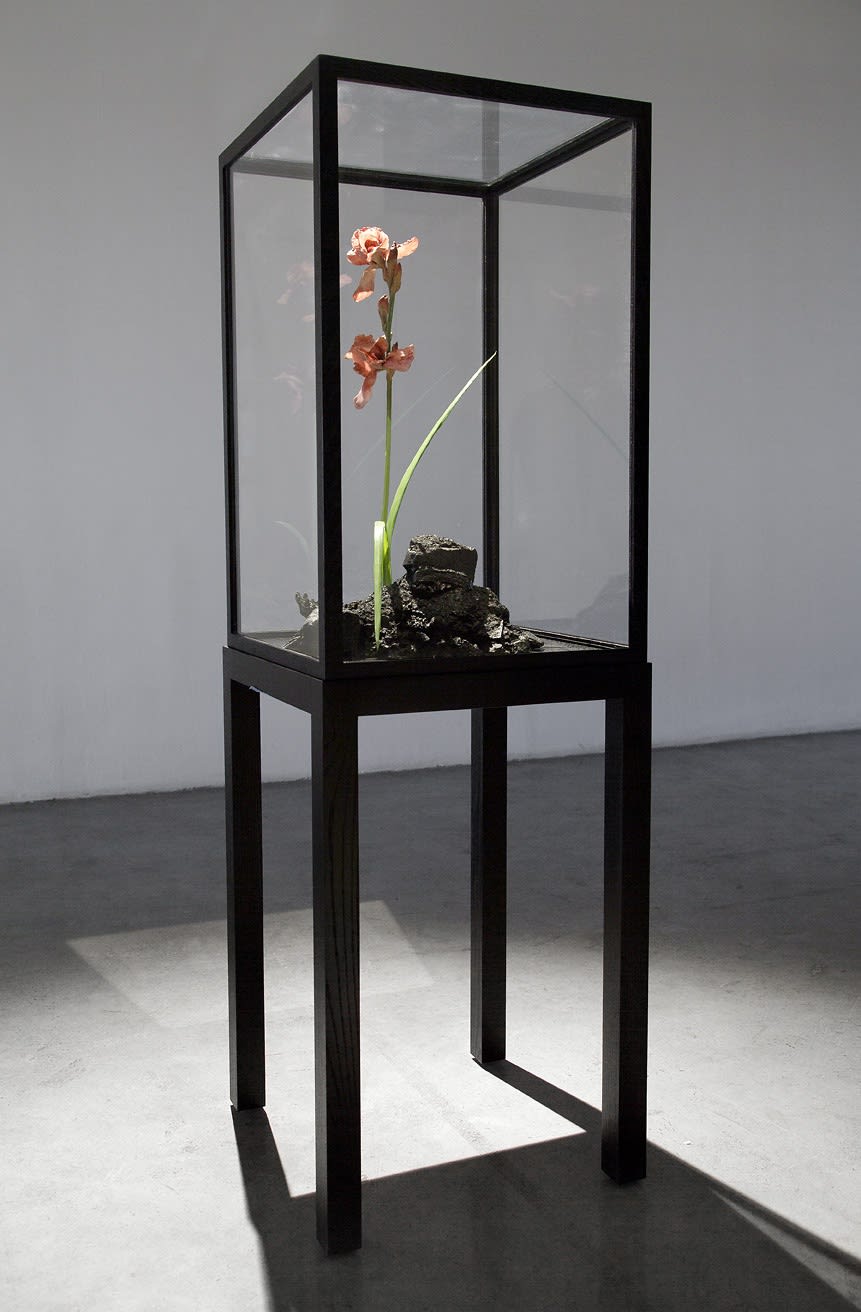 The Venal Muse. Evergreen.