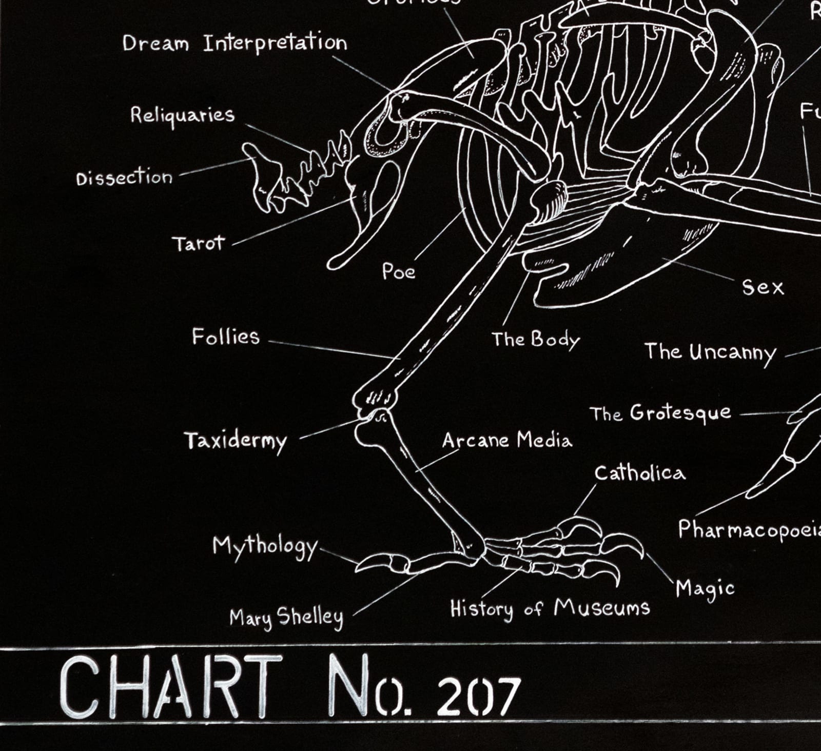 Image of Morbid Scholarship.