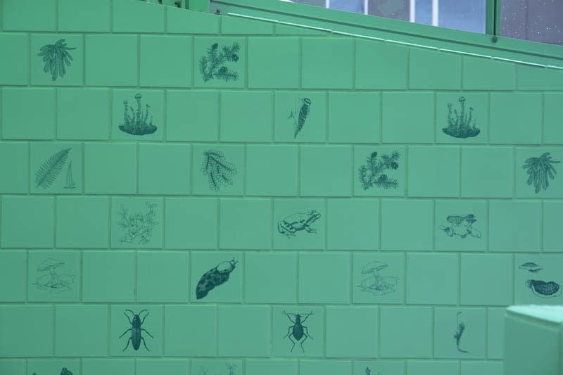 image of dion vivarium