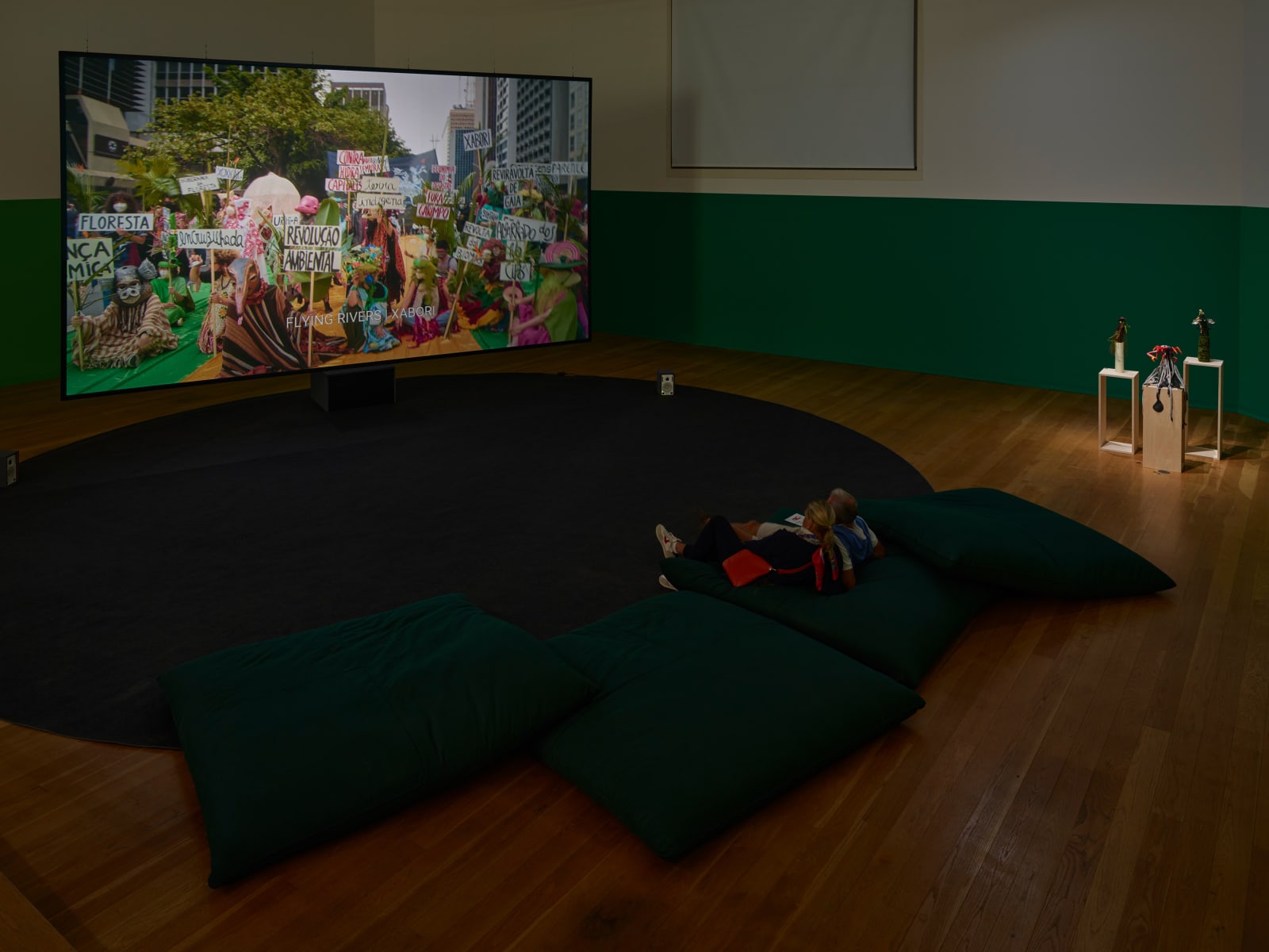 Image of Eu sou uma arara [I am a Macaw].