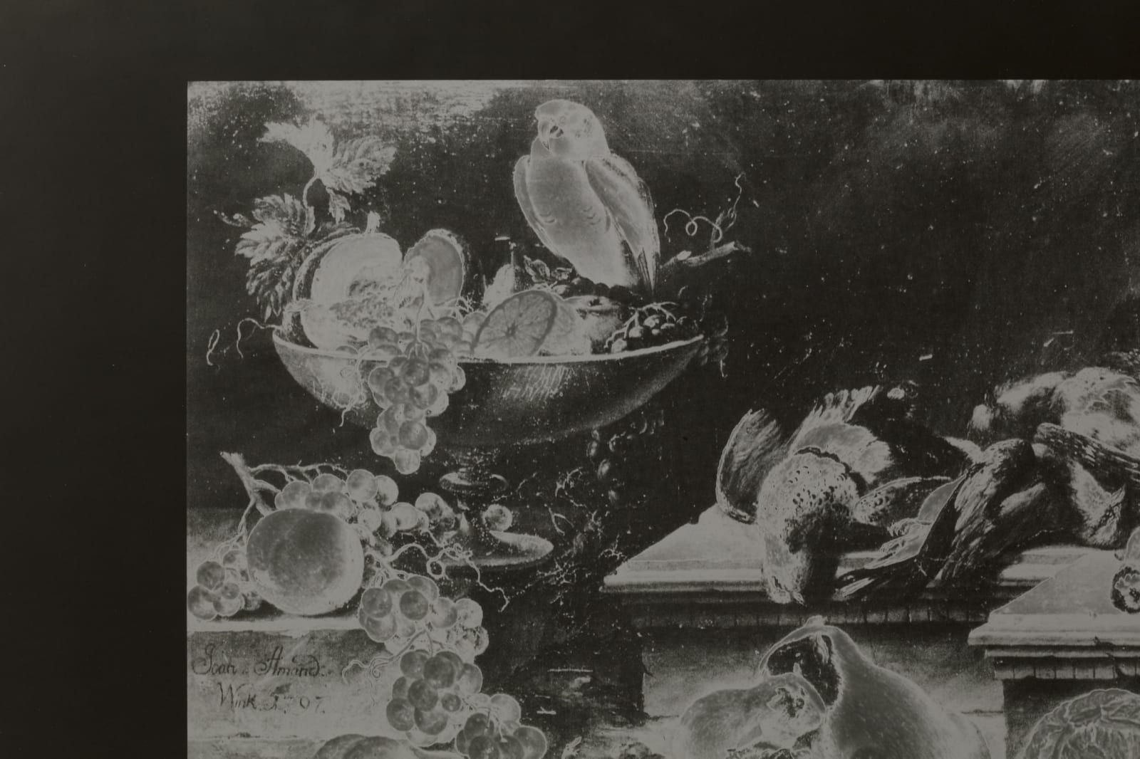 Image of Stilleben mit Früchten, totem Geflügel, Gemüse und Meerschweinchen, 1942/2022