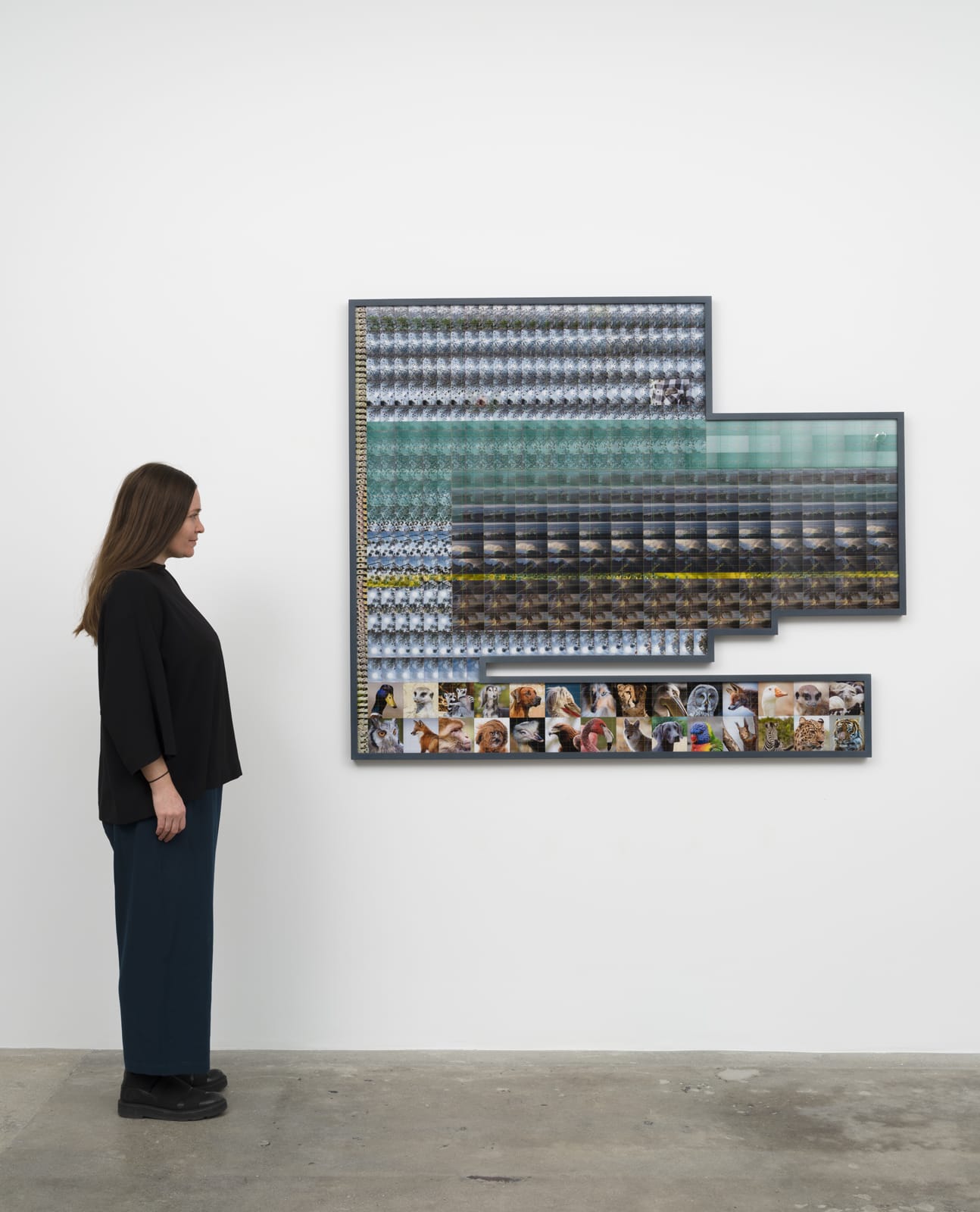 liu shiyuan photograph with shaped frame