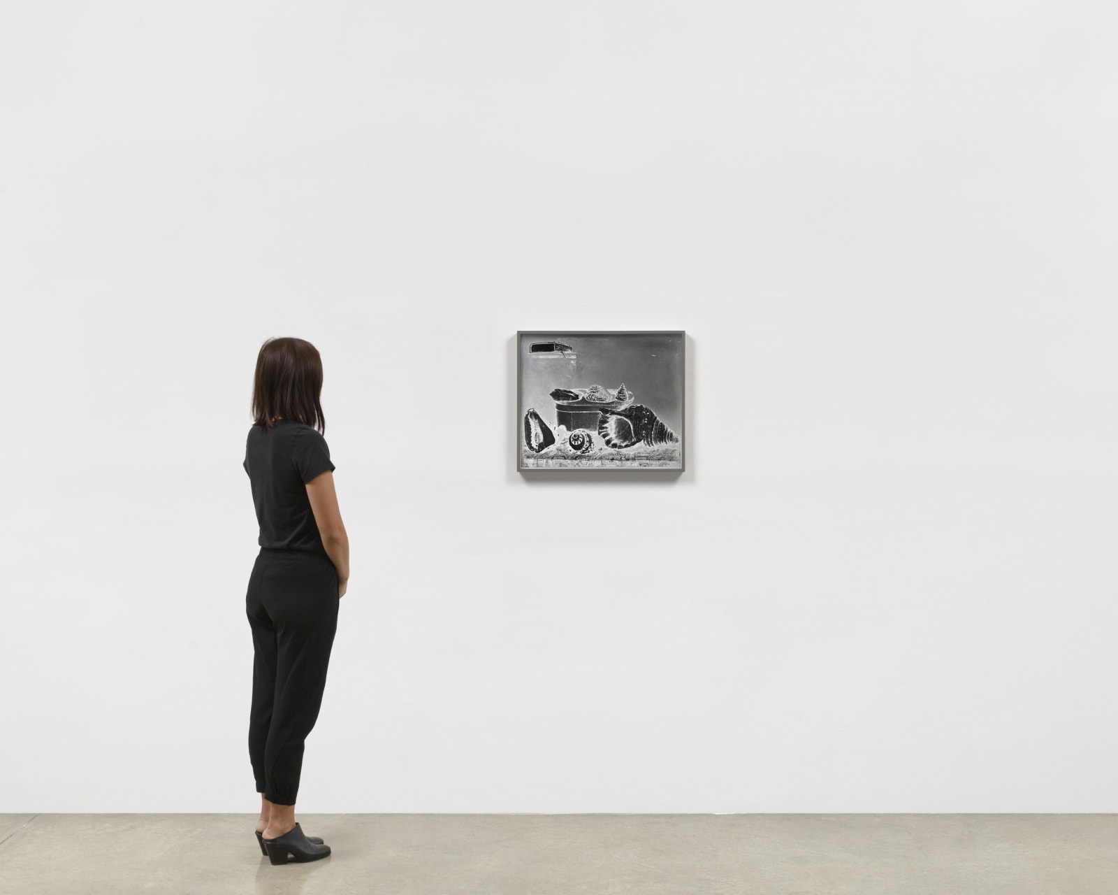 Image of Lisa Oppenheim work of Stilleven (Schelpen), N.D./2023, Version I