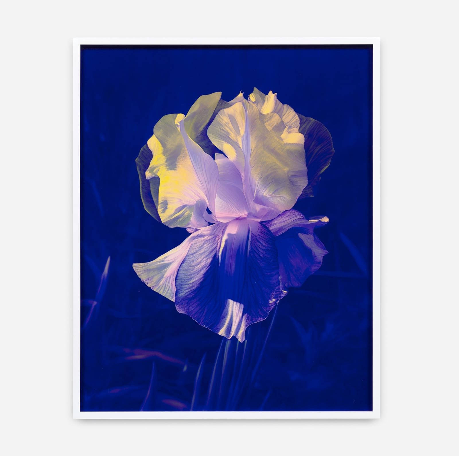 Image of Mme Steichen, Version IV .