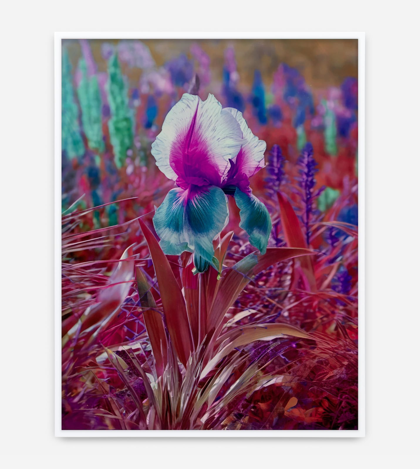 Image of Här Steichen Version II.