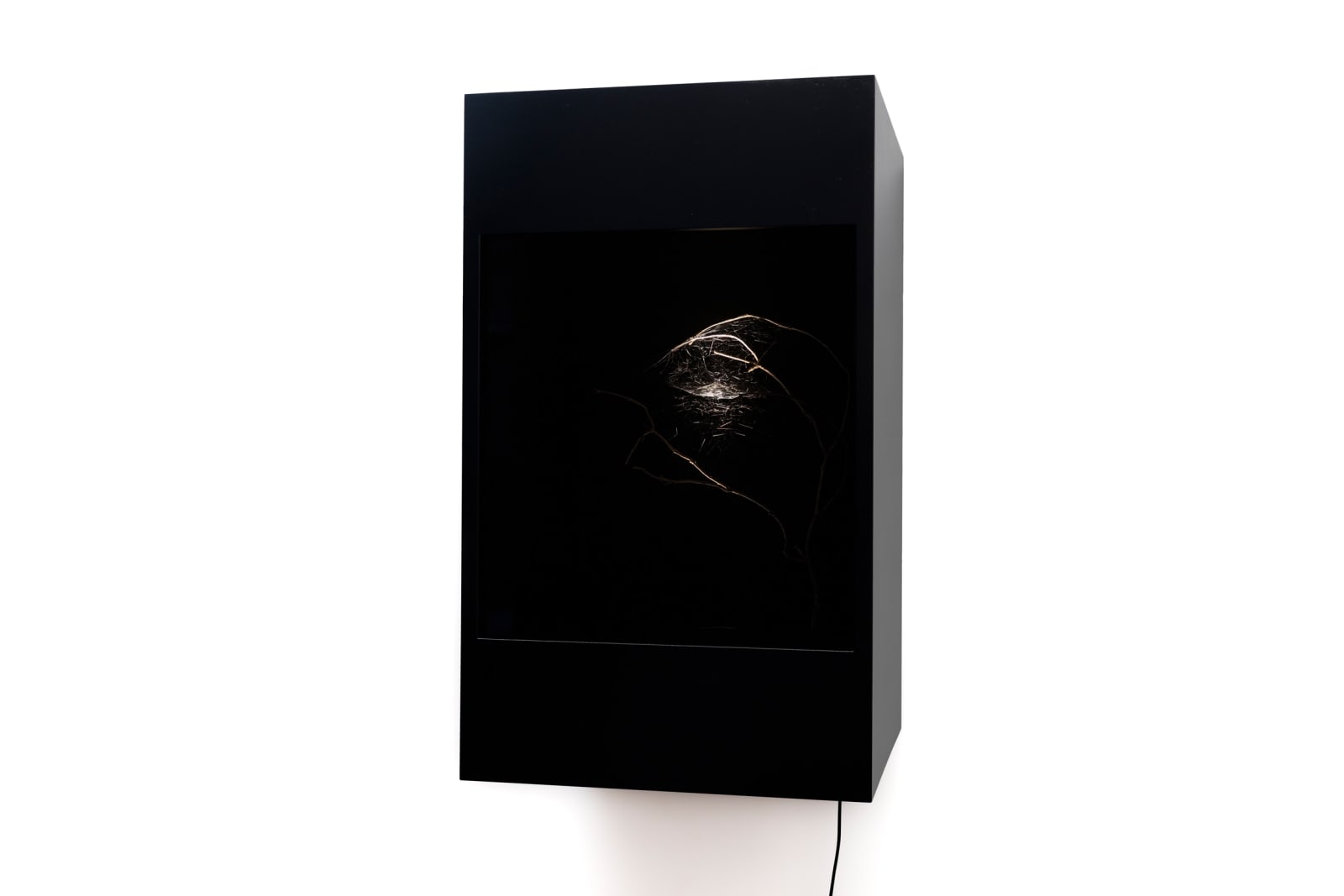 Saraceno's spidersilk box work.