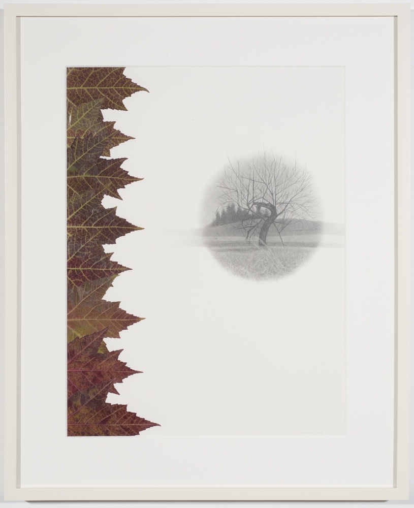 Peggy Preheim, Chromosome, 2013