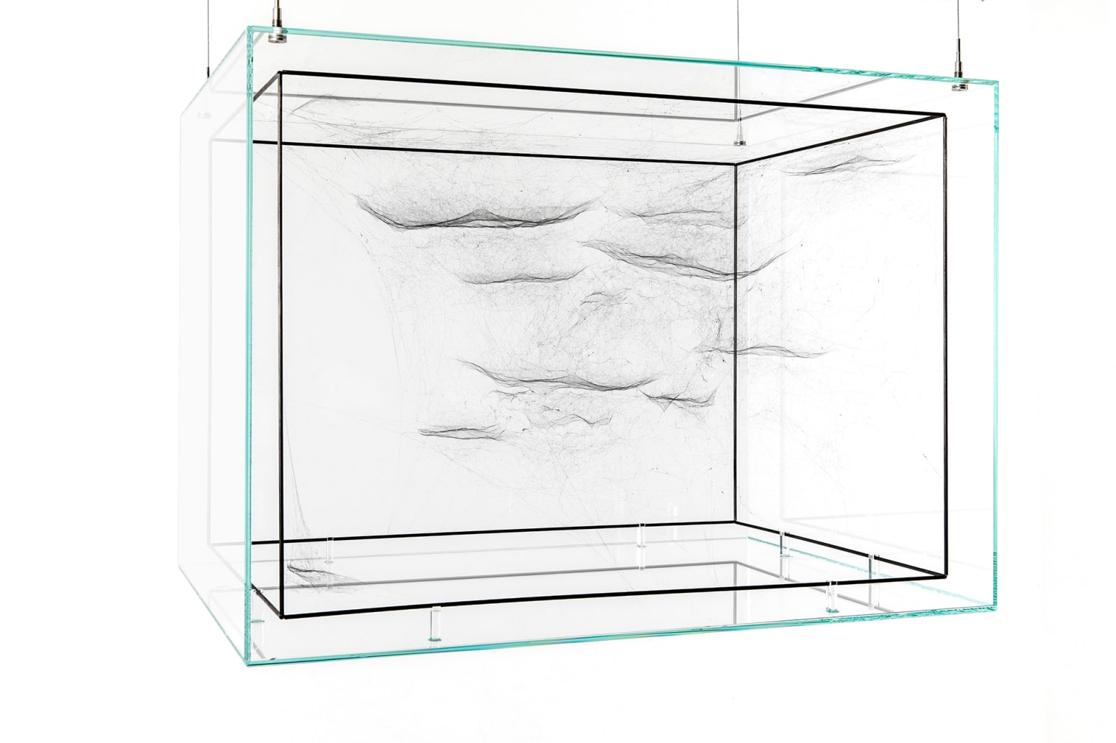 Image of spider box.