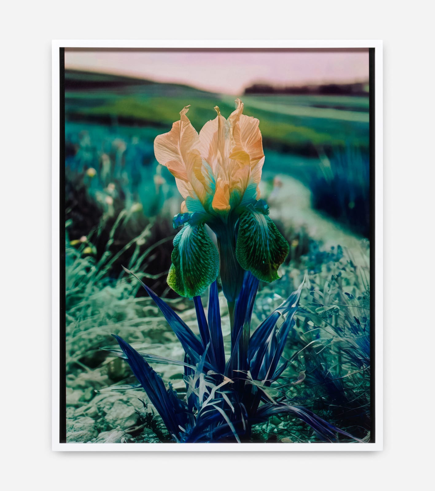 Lisa Oppenheim, Mlle Steichen, Version X, 2024