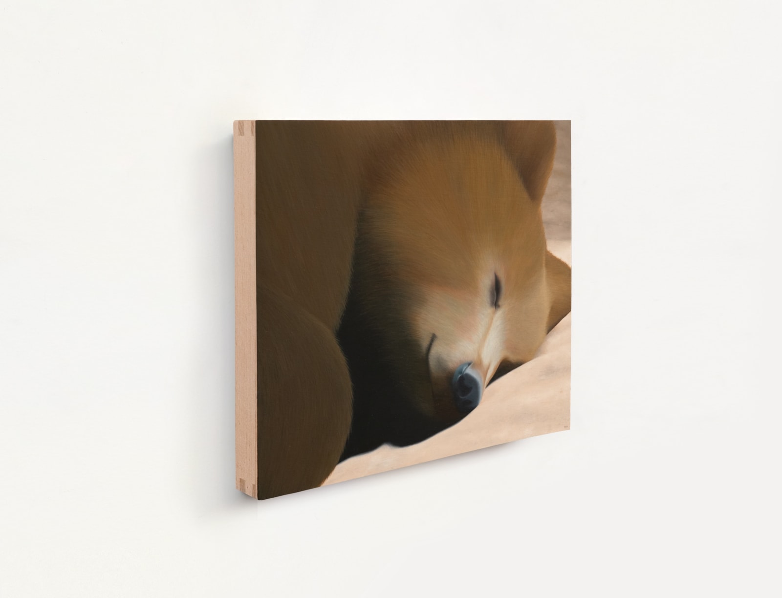 Image of What else did I see? (Kuma)