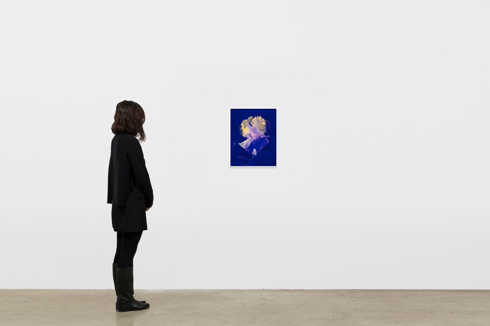 Image of Mme Steichen, Version IV .