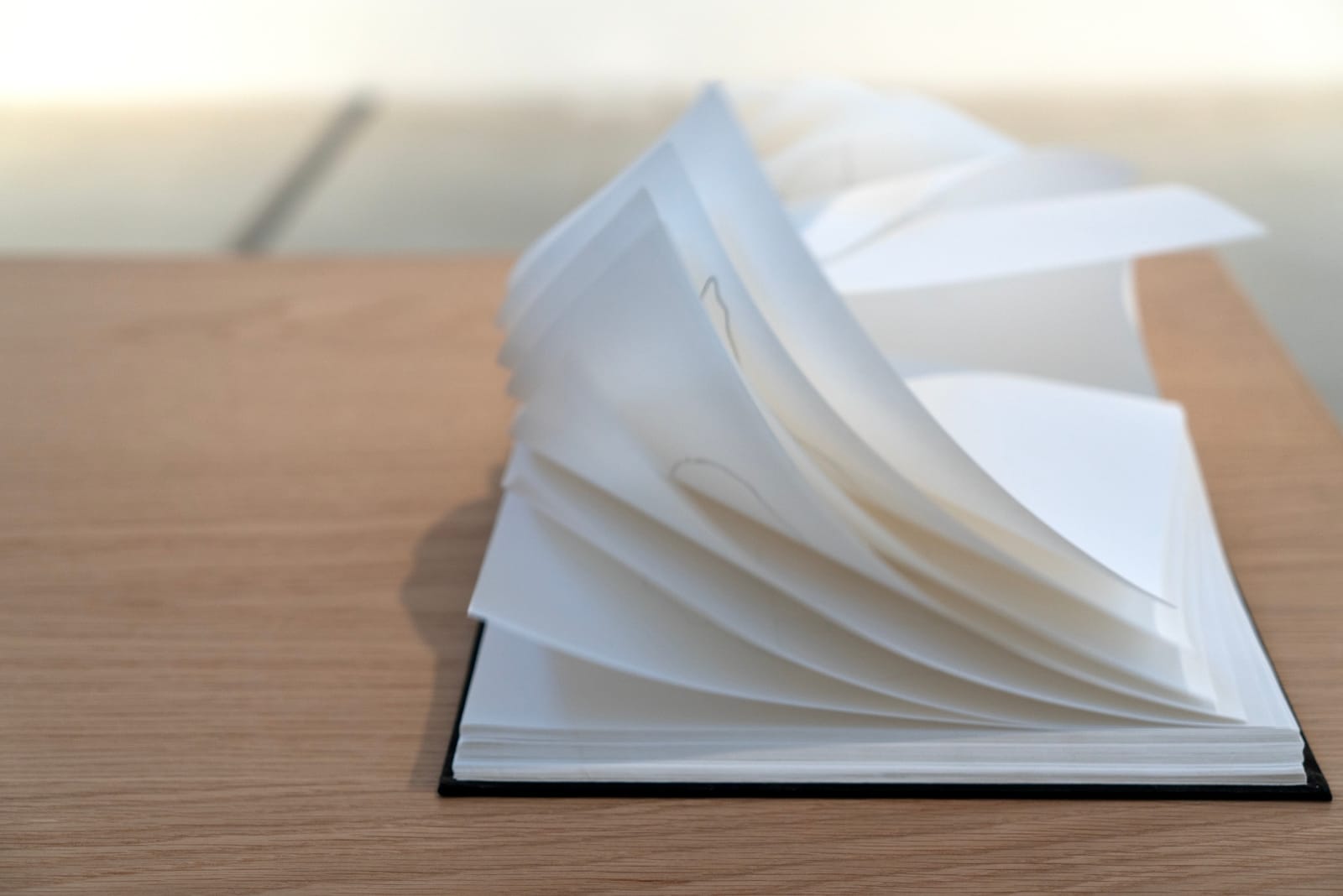 Image of 100 Hand-drawn Maps of USA