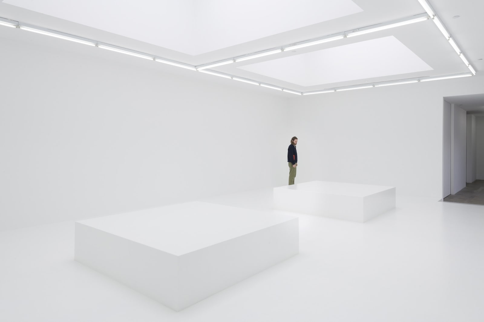 Image of Hvítblinda (Whiteout),