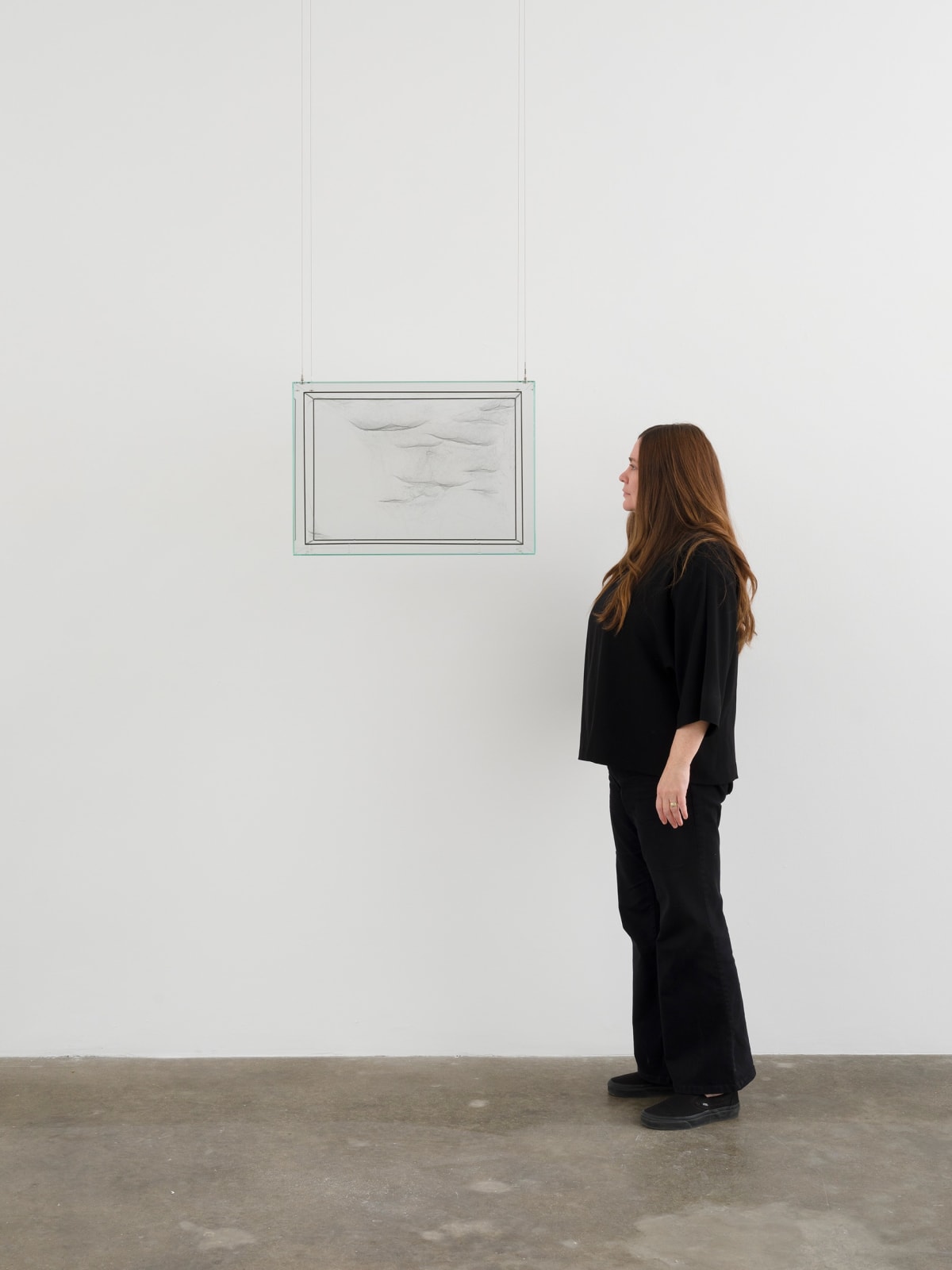 Image of spider box.