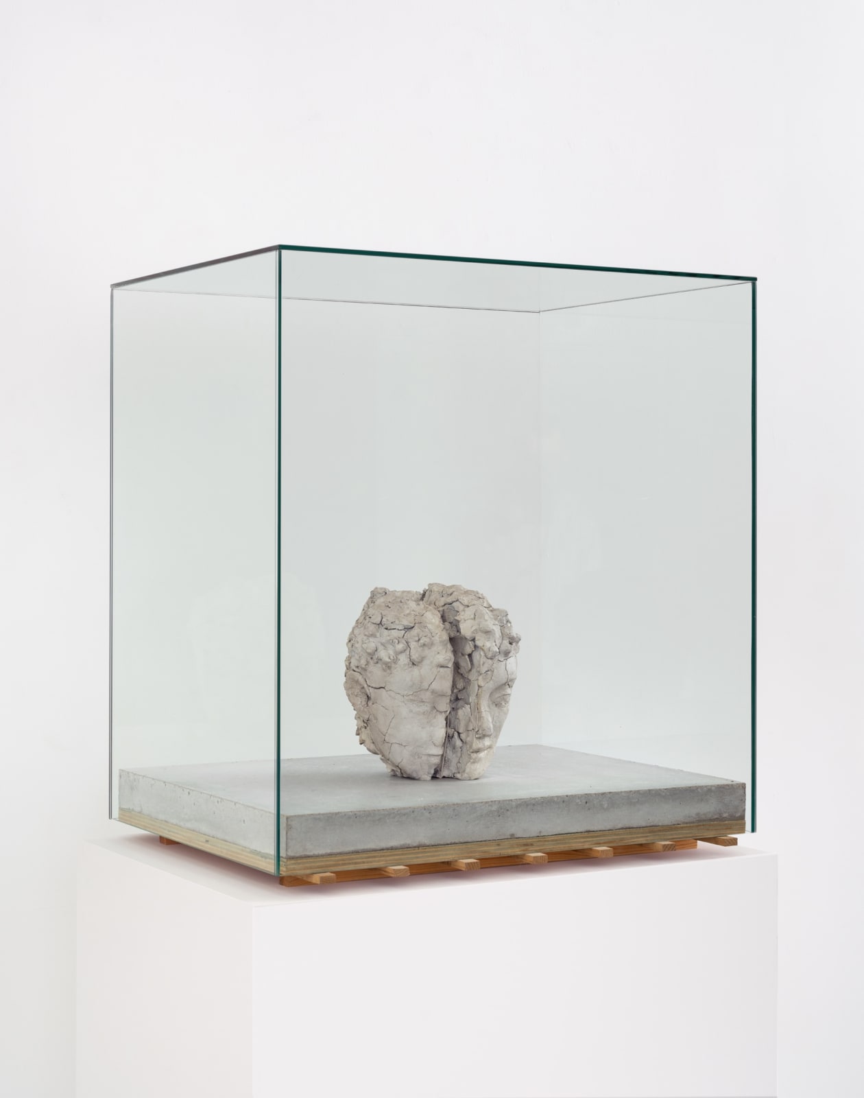 Image of Head with Rope.