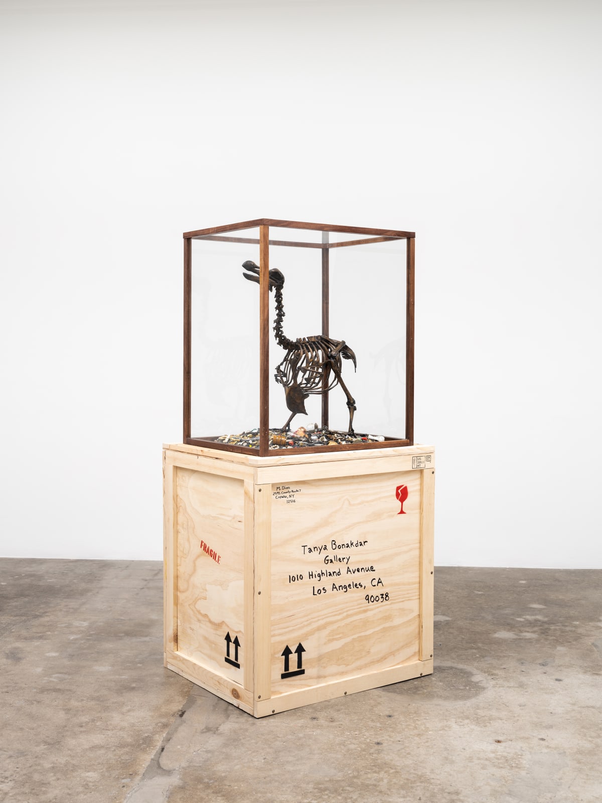 Image of The Anatomy of Melancholy - Dodo