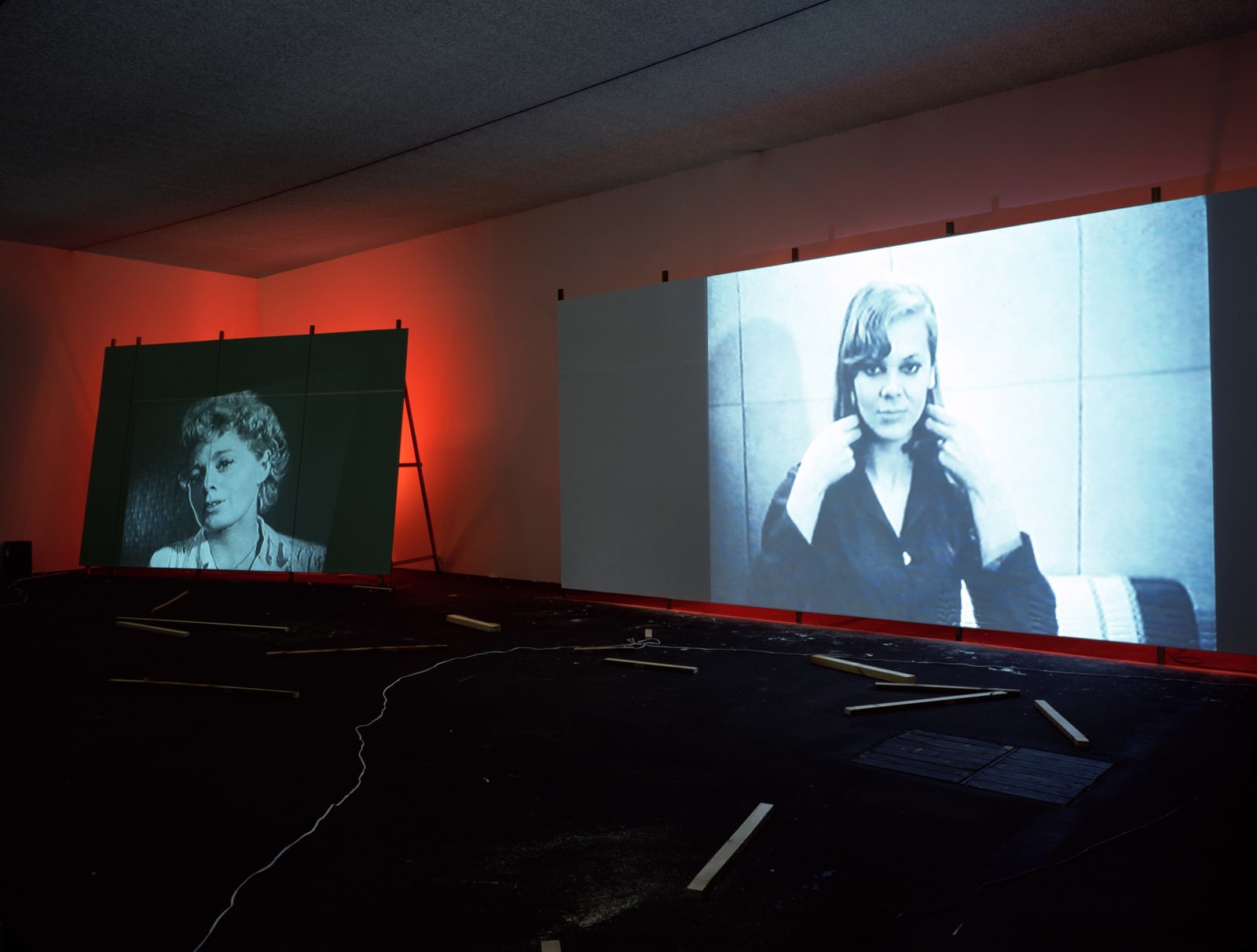 Image of Destroy she said