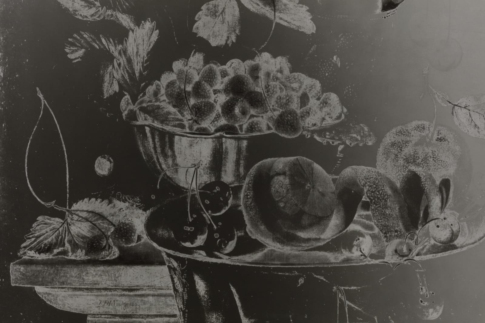 Image of Fleurs et Fruits, 1943/2022 (Version I)