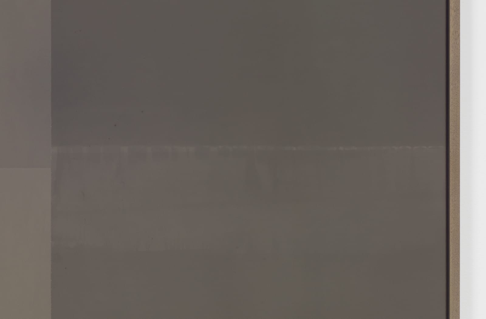 lisa oppenheim celluloid photo