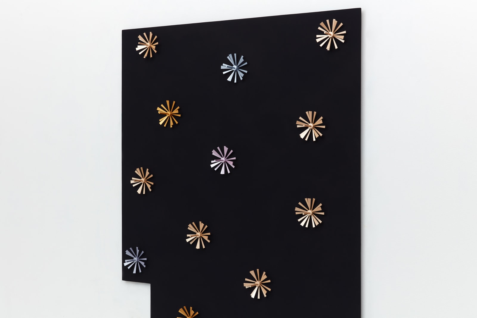 Image of Garden (Apartment).