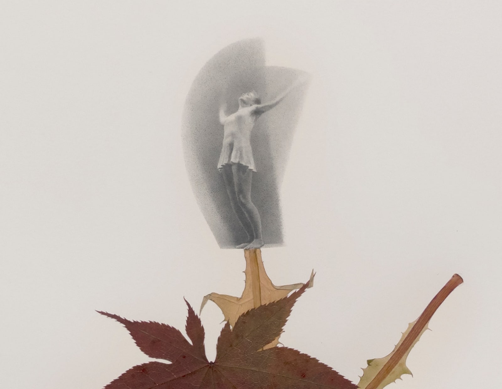 Peggy preheim collage