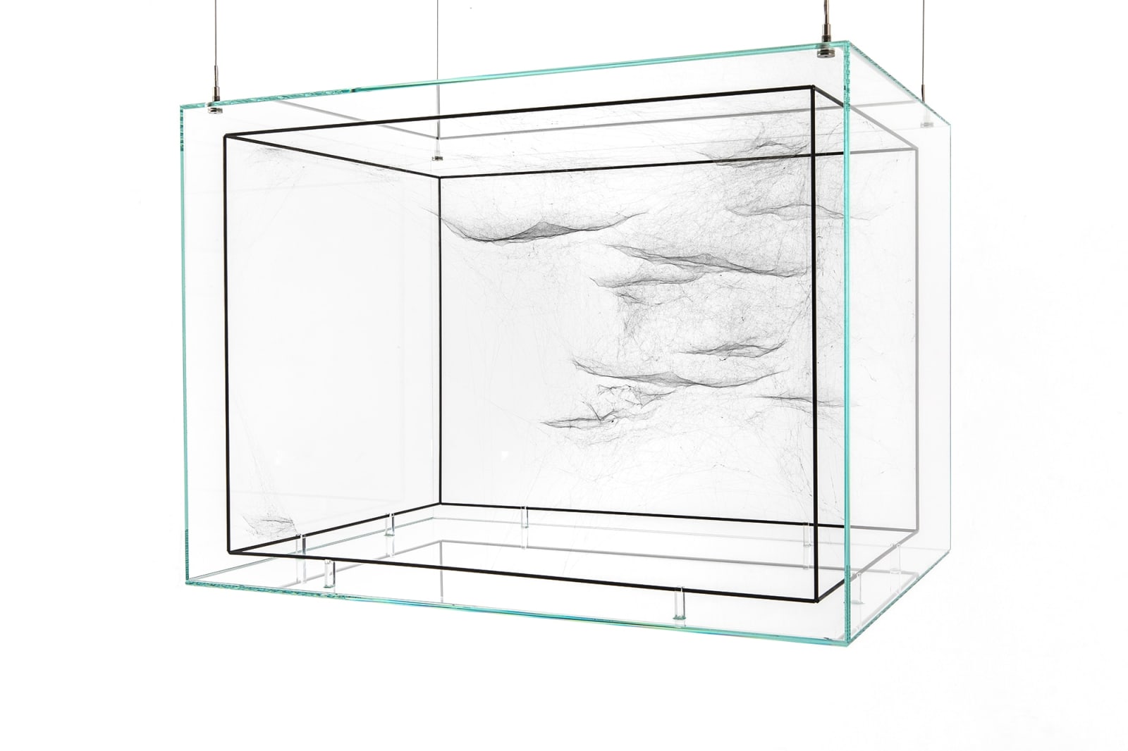 Image of spider box.