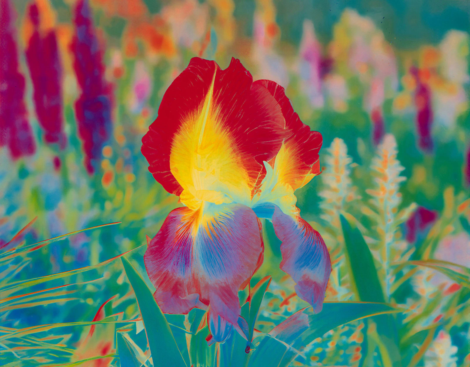 Image of Här Steichen Version I.