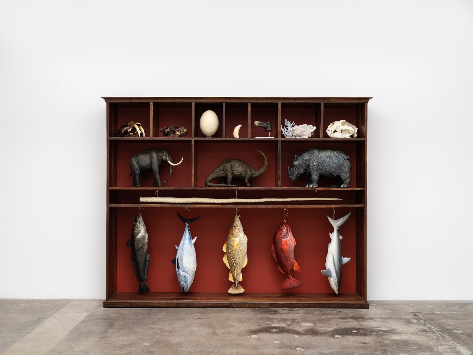 Cabinet of Extinction