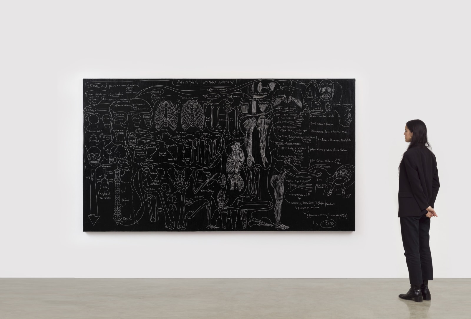 Image of Flowchart (Painting Anatomy) .