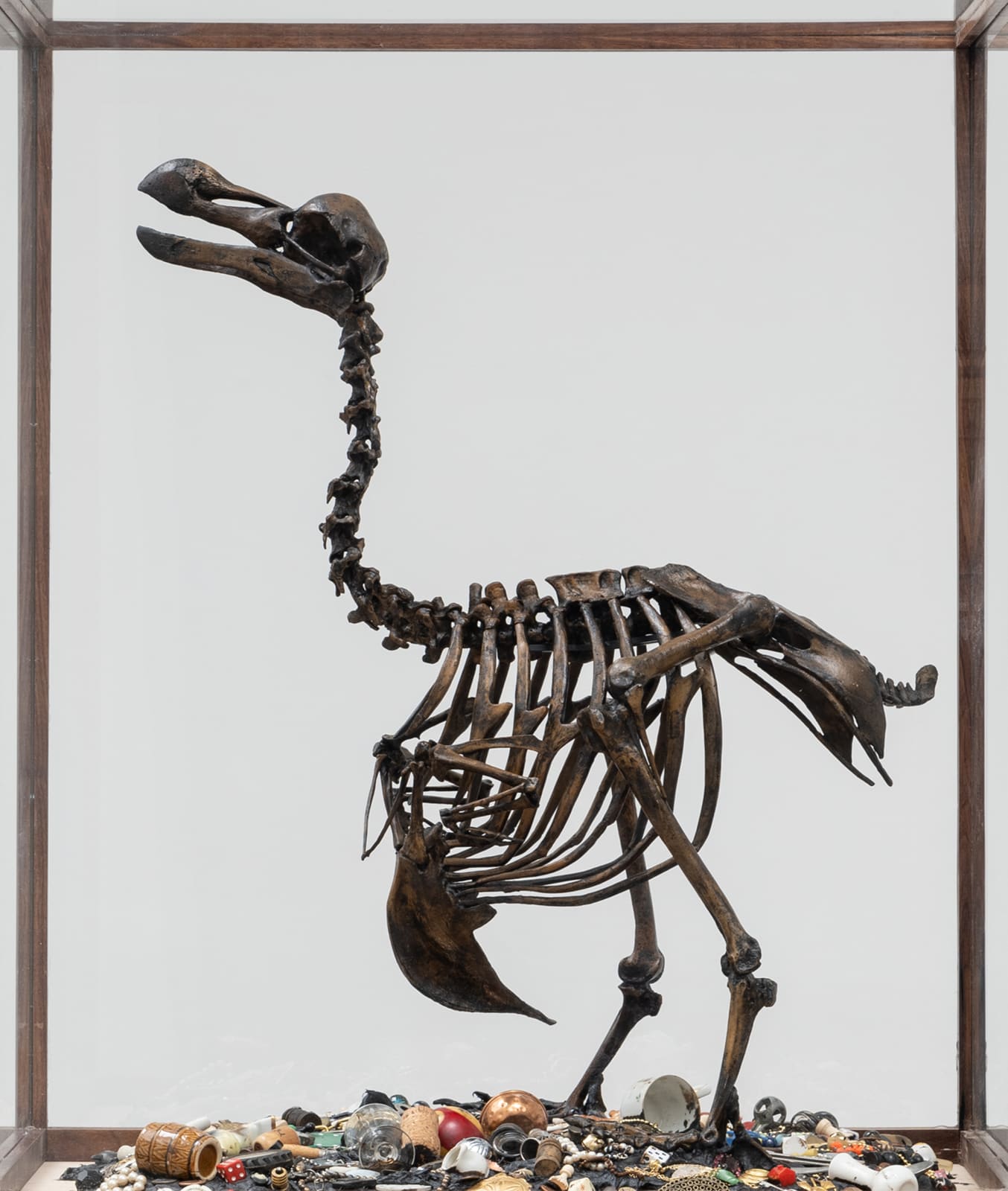 Image of The Anatomy of Melancholy - Dodo