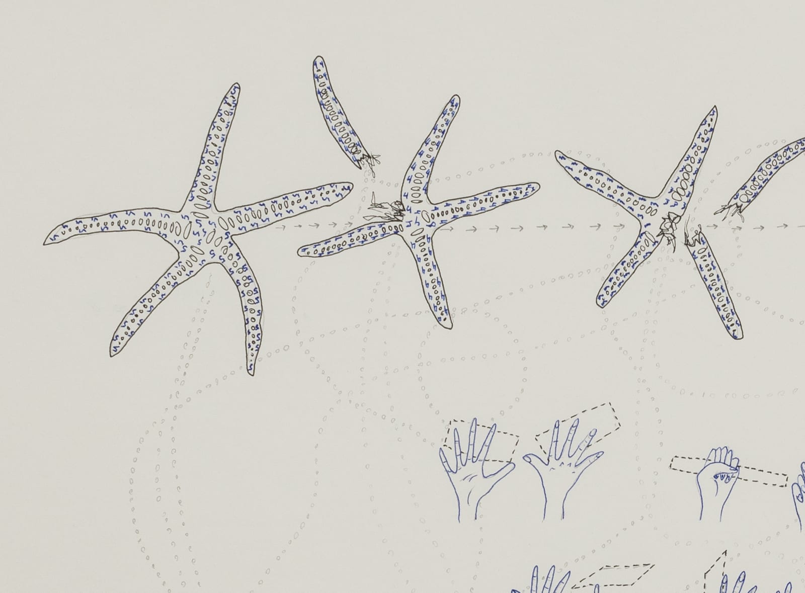 Hollander drawing of dance movements
