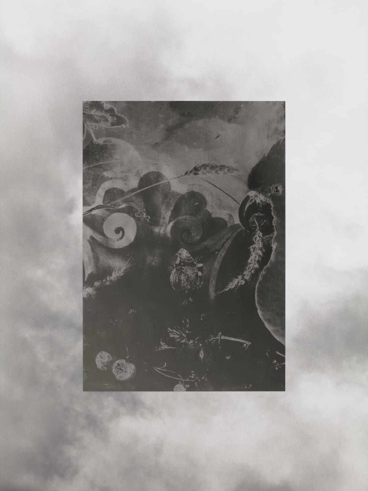 Image of Miroir entouré d’oiseaux, 1943/2022