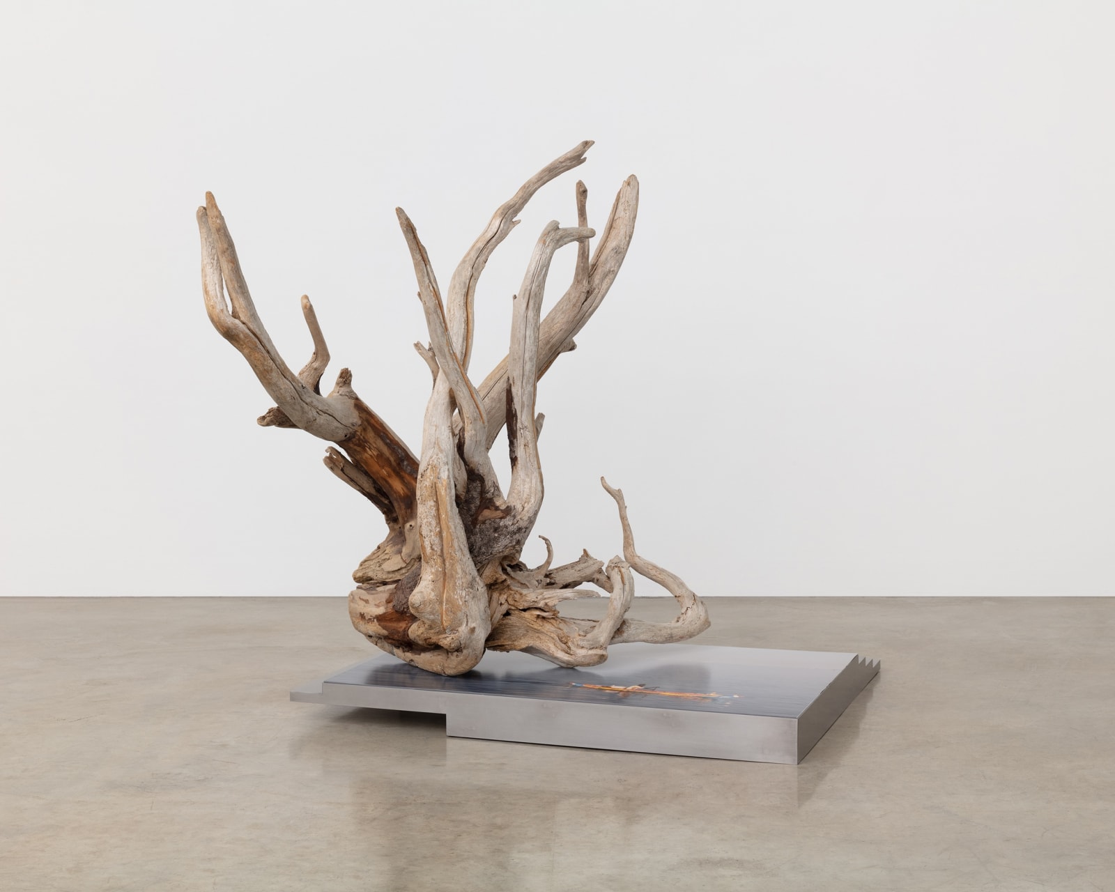 Karyn Olivier's sculpture of a piece of drift wood sitting on top of a steel stepped platform against a neutral background