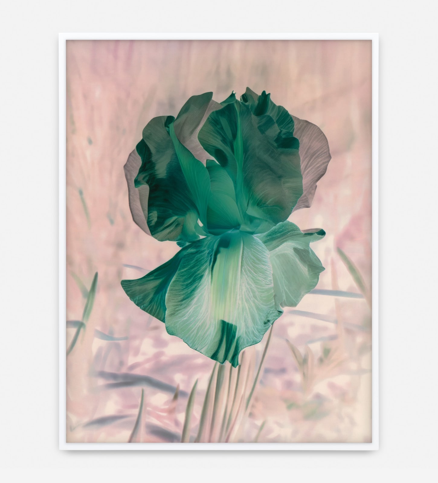 Image of Mme Steichen Version XVI.