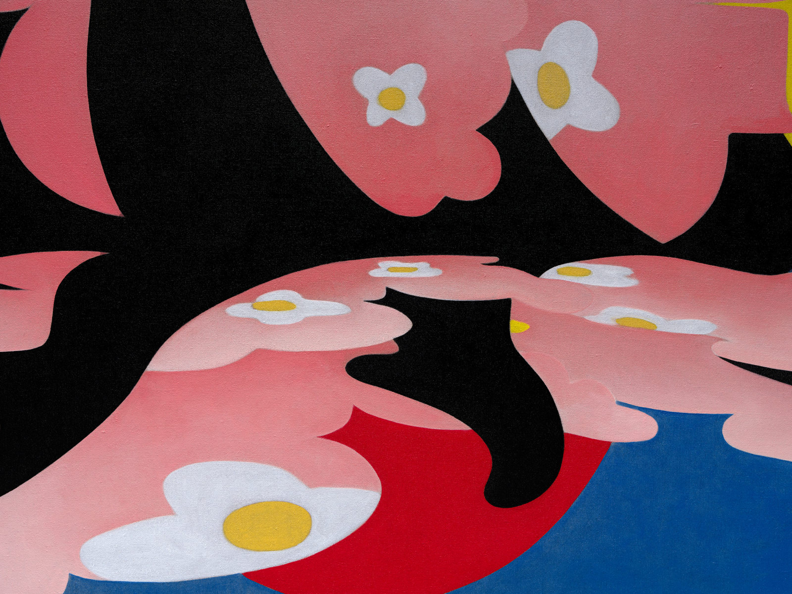 Image of Follis at sunrise