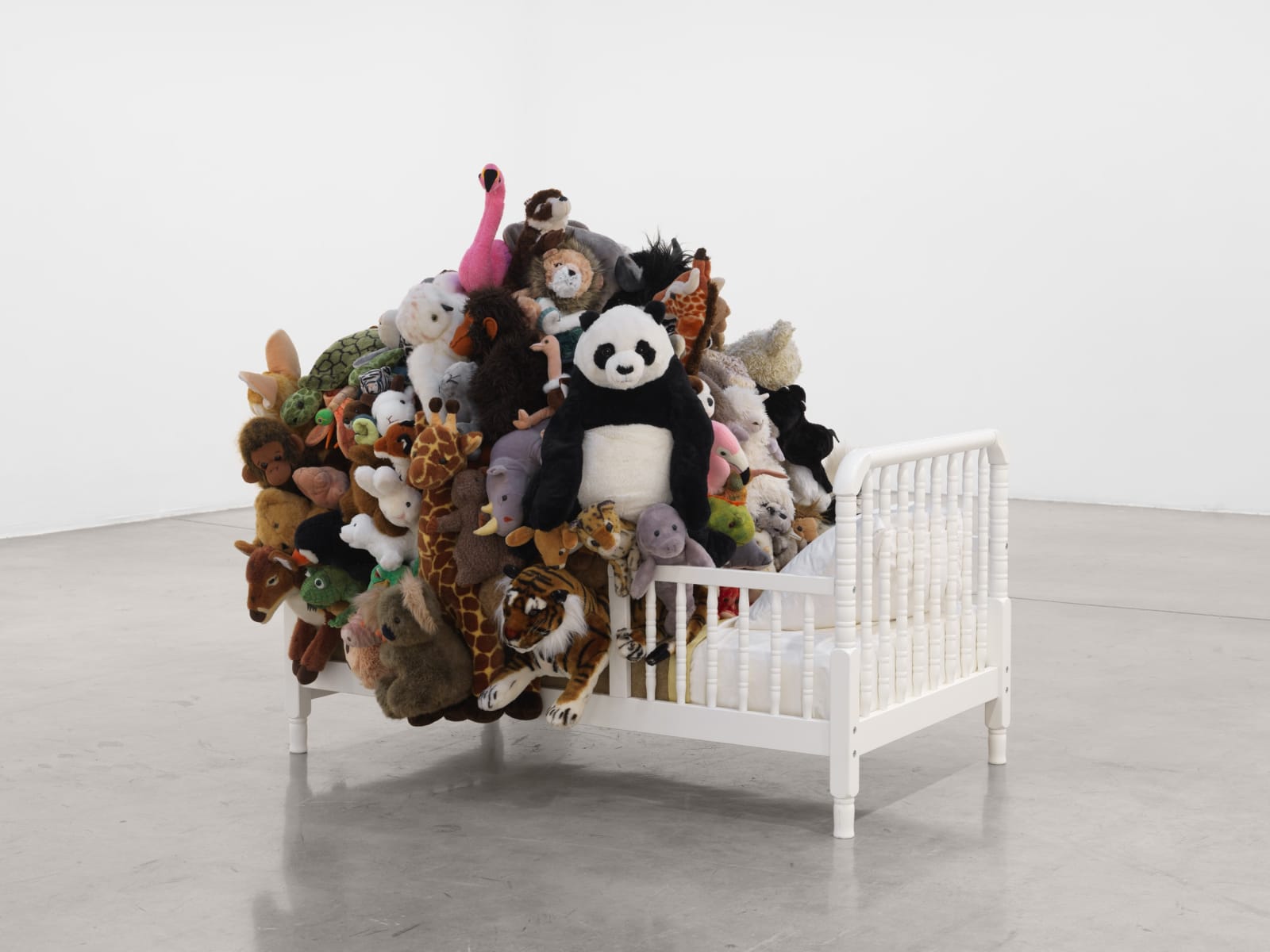 Image of Companion Animals.