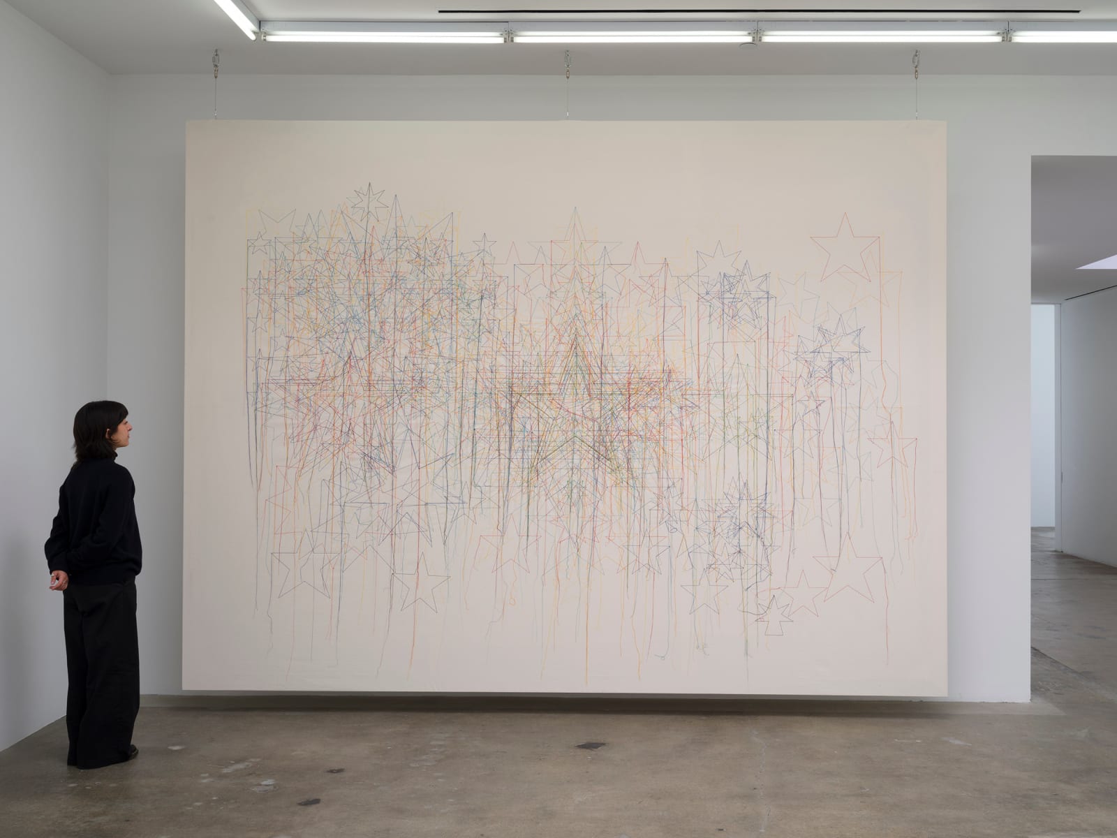 Shilpa Gupta Stars on Flags of the World, July 2011 2012-2023