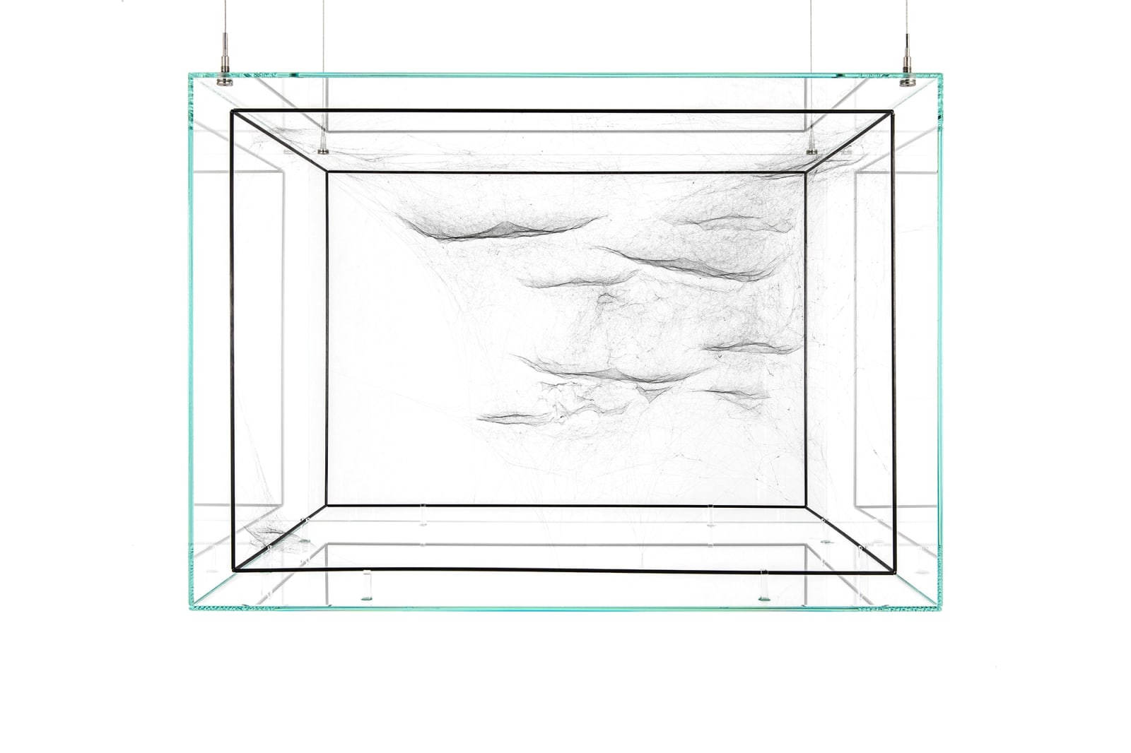 Image of spider box.