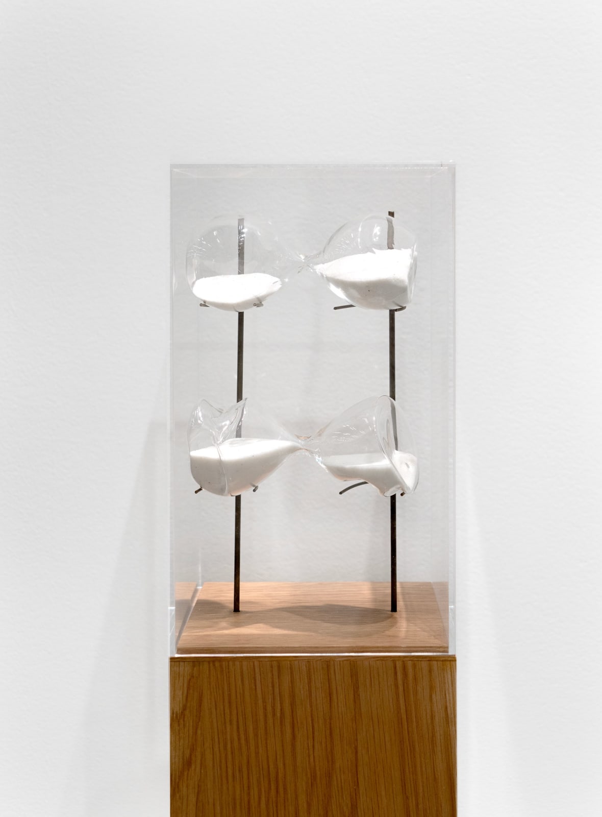 Shilpa Gupta Untitled