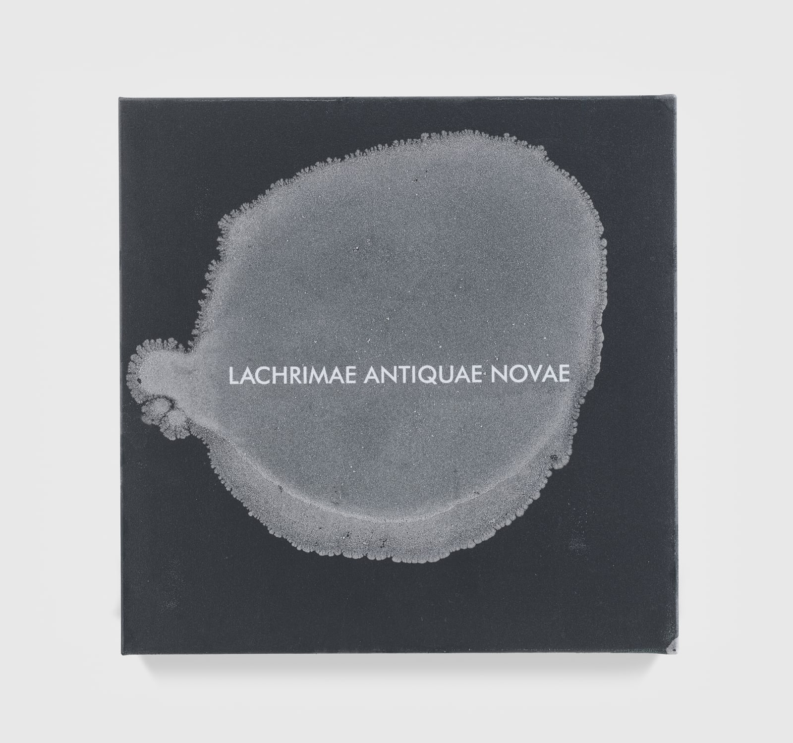 Image of Lachrimae Antiquae VIII