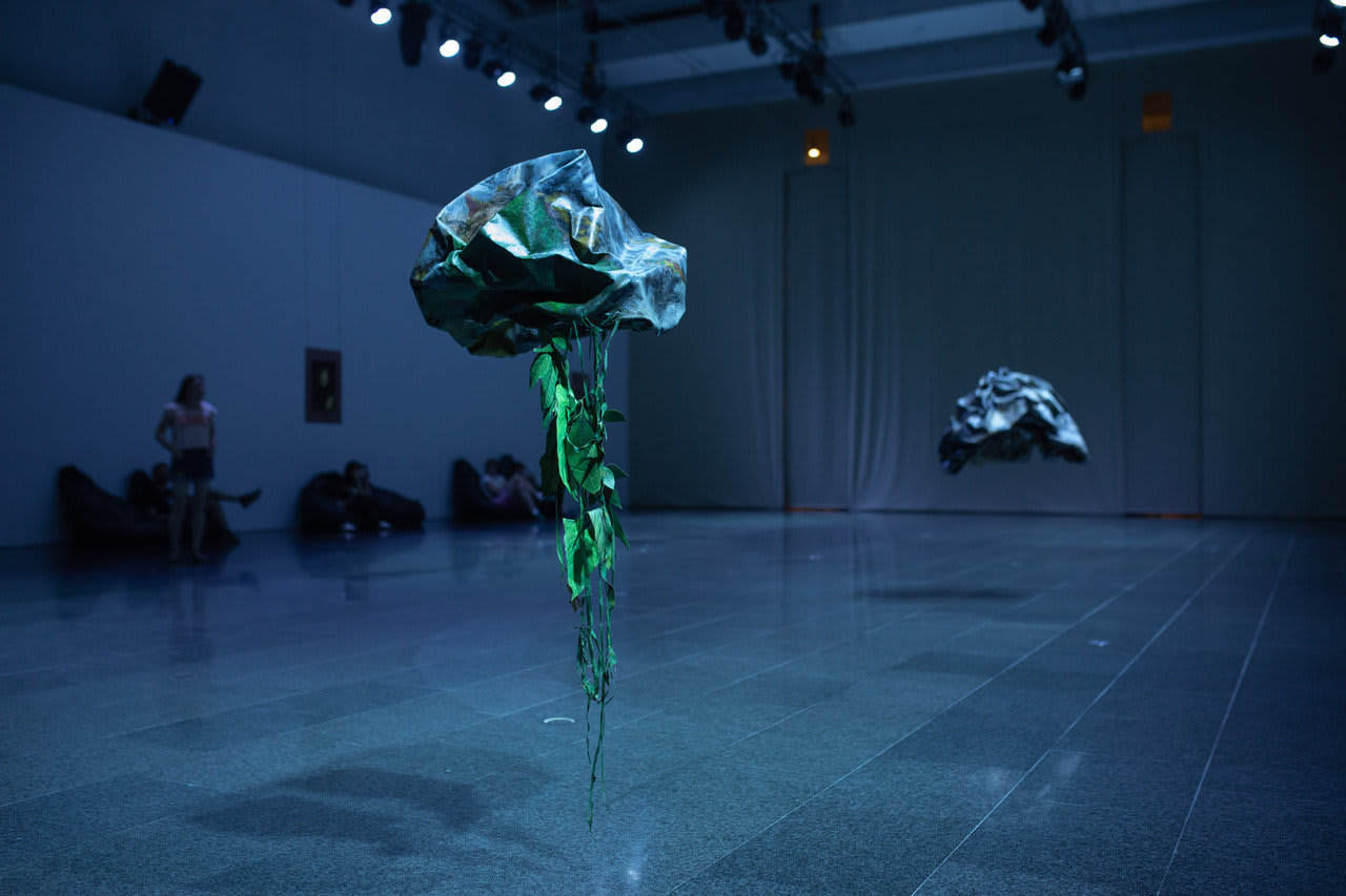 Installation view at MACBA Barcelona Museum of Contemporary Art, Spain