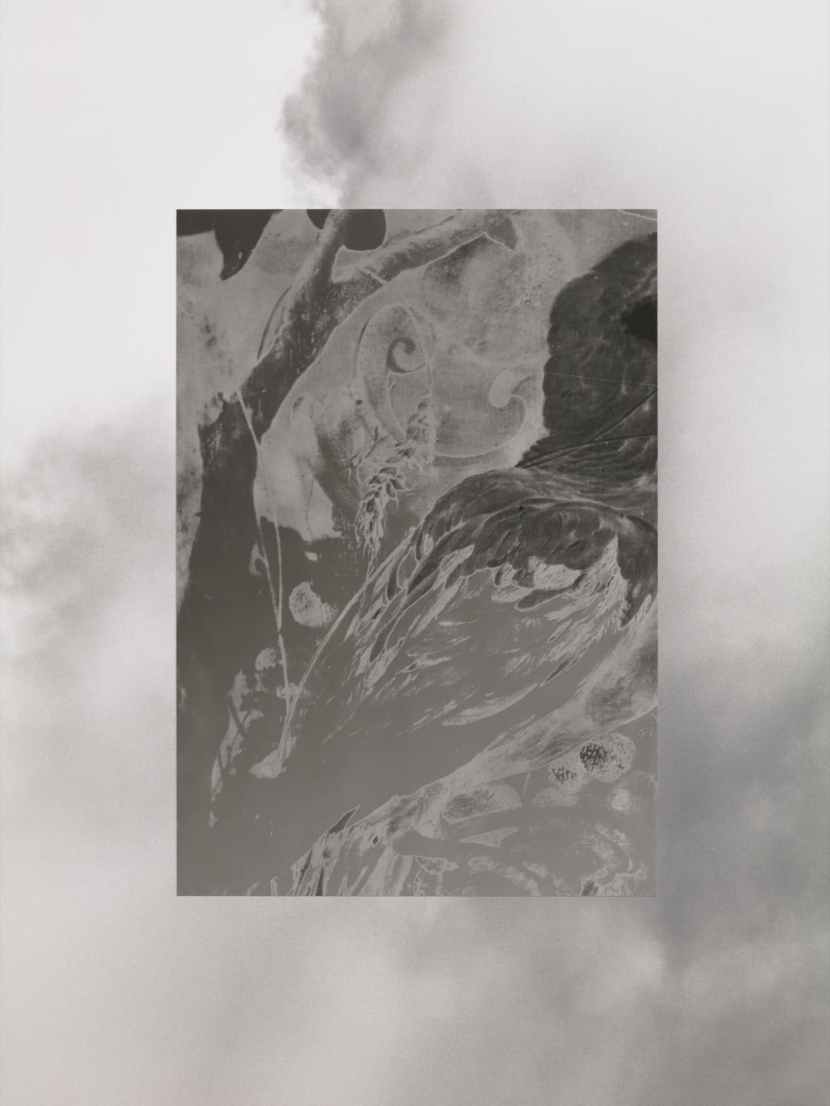 Image of Miroir entouré d’oiseaux, 1943/2022