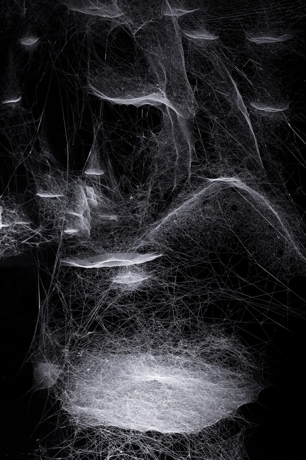 Image of Spider/Web Pavilion 7.